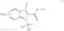 Fig. 18 - Mesoionic insecticides
