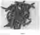Fig. 03 - SYSTEMS FOR PEST ELIMINATION, SUPPRESSION OR CONTROL