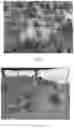 Fig. 04 - SYSTEMS FOR PEST ELIMINATION, SUPPRESSION OR CONTROL