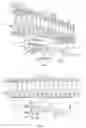 Fig. 02 - Slaughter installation for poultry suspended by the legs