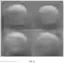 Fig. 03 - Plant extract compositions and methods of preparation thereof
