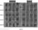 Fig. 05 - Plant extract compositions and methods of preparation thereof