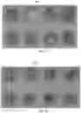 Fig. 10 - Plant extract compositions and methods of preparation thereof