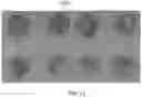 Fig. 11 - Plant extract compositions and methods of preparation thereof