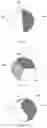 Fig. 06 - MULTIPLE SECTION FROZEN SUPPLEMENTARY BEAD