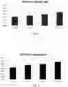Fig. 04 - COMPOSITIONS AND COMBINATIONS FOR USE AS FOOD SUPPLEMENTS FOR ANIMALS