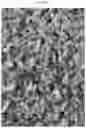 Fig. 06 - Enhanced aerobic fermentation methods for producing edible fungal mycelium blended meats and meat analogue compositions