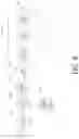 Fig. 06 - Masticable ingestible product and communication system therefor