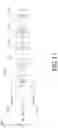 Fig. 09 - Masticable ingestible product and communication system therefor