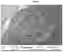 Fig. 07 - Quick-Cook Grains and Pulses