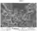 Fig. 10 - Quick-Cook Grains and Pulses