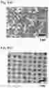 Fig. 04 - WATER REPELLENCY-IMPARTING FIBER ARTICLE