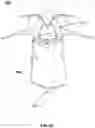 Fig. 10 - Swimwear with interchangeable items