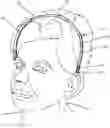 Fig. 01 - HEAD ITCH RELIEF TOOL