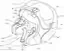 Fig. 01 - Helmet with cheek pads and method for the use thereof