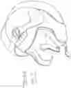 Fig. 03 - Helmet with cheek pads and method for the use thereof
