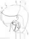 Fig. 06 - Helmet with cheek pads and method for the use thereof
