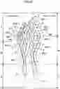 Fig. 07 - Sole Structure and Shoe with the Sole Structure