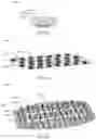 Fig. 09 - ENHANCED HAIR PRODUCT APPLICATION WITH CONCURRENT STYLING