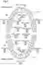 Fig. 08 - Electric toothbrush, system, brushing site detection method, and computer-readable recording medium