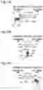 Fig. 15 - Electric toothbrush, system, brushing site detection method, and computer-readable recording medium