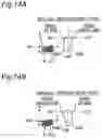 Fig. 17 - Electric toothbrush, system, brushing site detection method, and computer-readable recording medium
