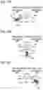 Fig. 19 - Electric toothbrush, system, brushing site detection method, and computer-readable recording medium
