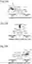 Fig. 20 - Electric toothbrush, system, brushing site detection method, and computer-readable recording medium