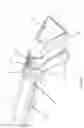 Fig. 14 - Cleaning tool for an extractor