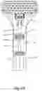Fig. 19 - Cleaning tool for an extractor