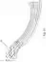 Fig. 28 - Endoscope with pannable camera