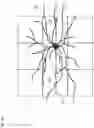 Fig. 07 - Ophthalmic imaging apparatus, controlling method thereof, ophthalmic imaging method, and recording medium