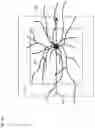 Fig. 09 - Ophthalmic imaging apparatus, controlling method thereof, ophthalmic imaging method, and recording medium