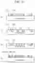 Fig. 06 - Apparatus and method for estimating bio-information