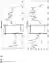 Fig. 10 - SYSTEMS AND METHODS FOR REVASCULARIZATION ASSESSMENT