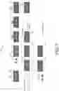 Fig. 08 - Diagnostic mask and method