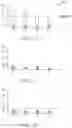 Fig. 19 - QUANTITATIVE NEUROMUSCULATURE BLOCKADE SENSING SYSTEMS AND METHODS