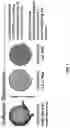 Fig. 02 - THIN, SOFT, SKIN-MOUNTED MICROFLUIDIC NETWORKS FOR DETECTION AND ANALYSIS OF TARGETS OF INTEREST IN SWEAT
