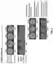 Fig. 03 - THIN, SOFT, SKIN-MOUNTED MICROFLUIDIC NETWORKS FOR DETECTION AND ANALYSIS OF TARGETS OF INTEREST IN SWEAT
