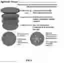 Fig. 04 - THIN, SOFT, SKIN-MOUNTED MICROFLUIDIC NETWORKS FOR DETECTION AND ANALYSIS OF TARGETS OF INTEREST IN SWEAT