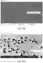 Fig. 18 - Nanostructure-based cannabinoid sensor