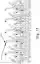 Fig. 52 - SCRAPE AND SWEEP FRICTIONAL TISSUE SAMPLING AND COLLECTION METHOD AND DEVICE