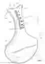 Fig. 08 - Tongue elevator device