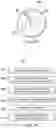 Fig. 20 - Abdominal aeration tissue retraction systems and methods