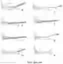 Fig. 41 - Automatically reloading suture passer devices and methods