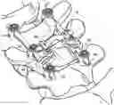 Fig. 01 - TRANSVERSE CONNECTOR