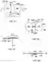Fig. 03 - Therapeutic skin lifting device and related systems and methods