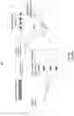 Fig. 04 - System and method for high density electrode management