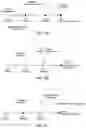 Fig. 11 - Treatment progress tracking and recalibration