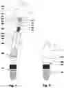 Fig. 02 - Superstructure support having special inner and outer geometry